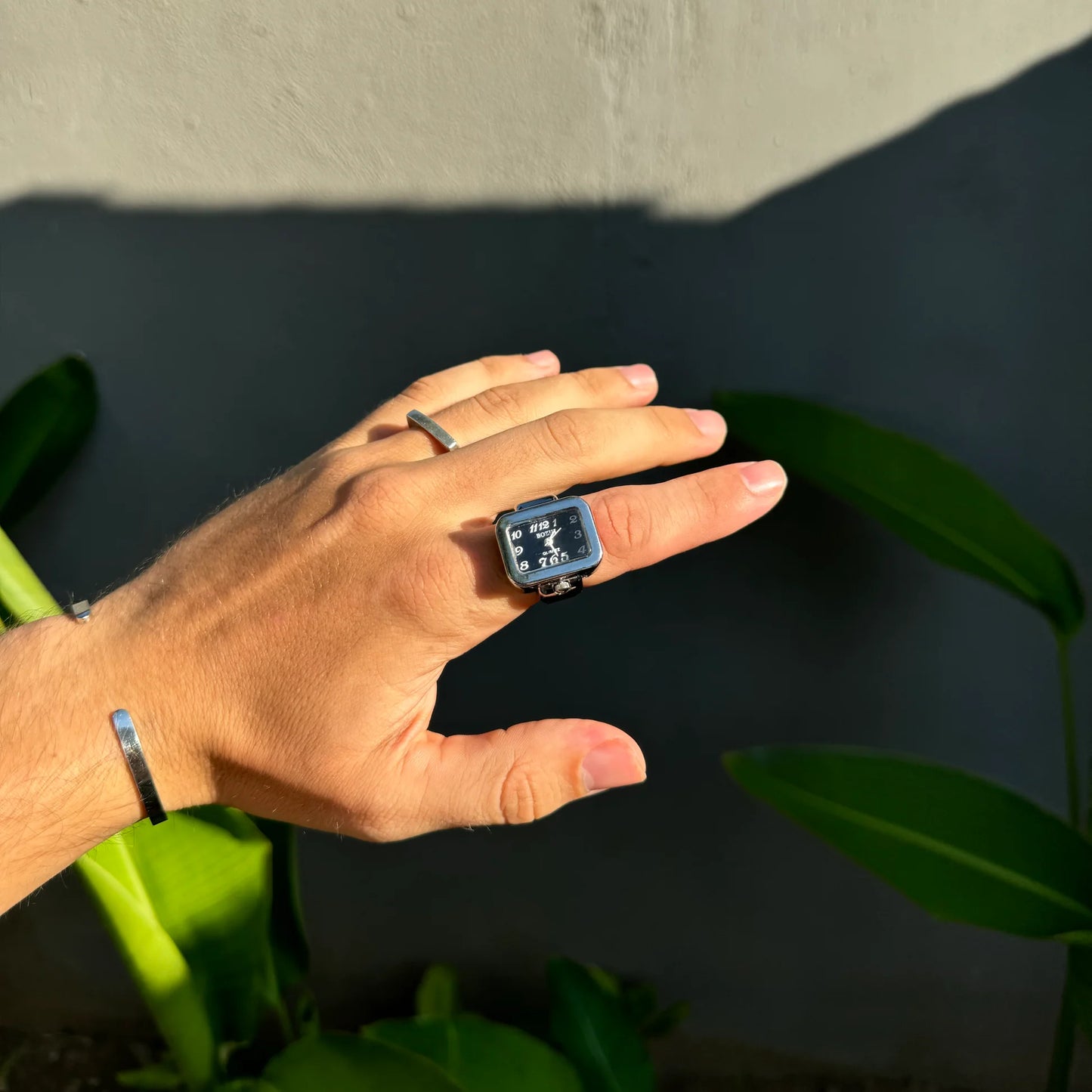 Renault Silver Black